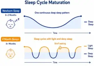 Diagram comparing newborn deep sleep to mature sleep cycle pattern at 4 months