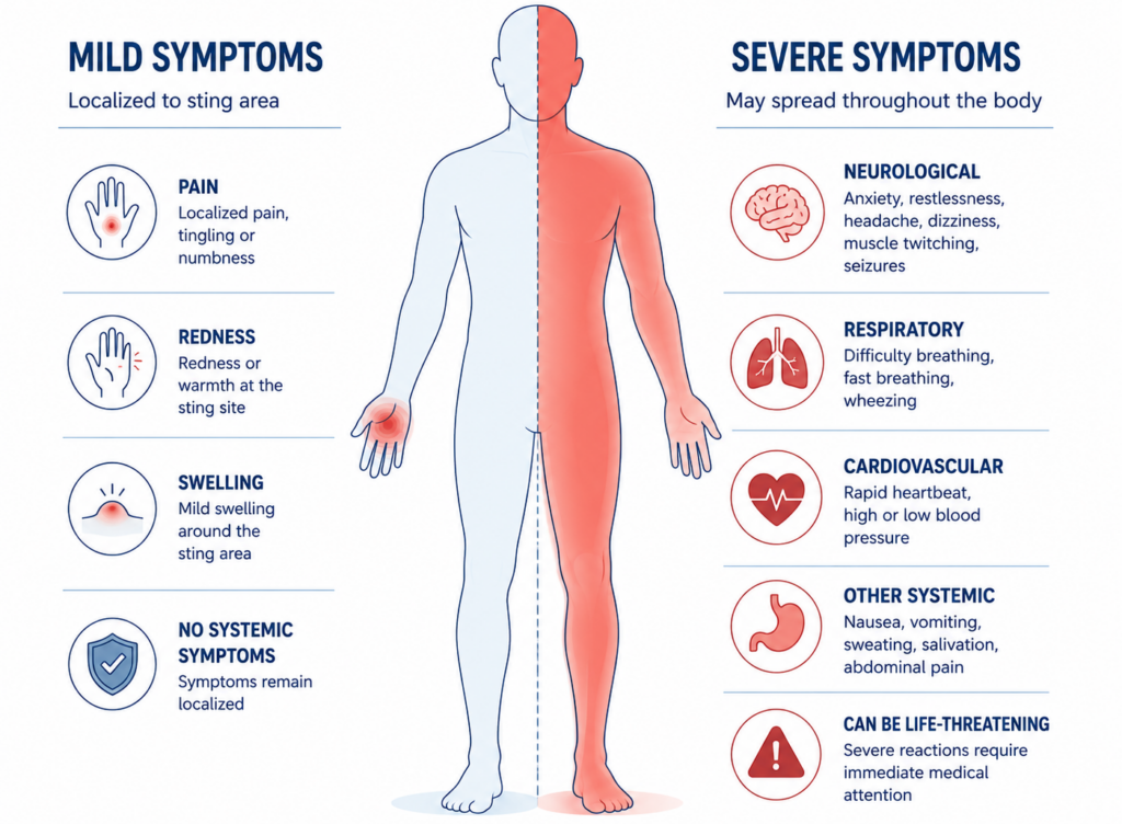 diagram comparing mild vs severe scorpion sting symptoms on the human body