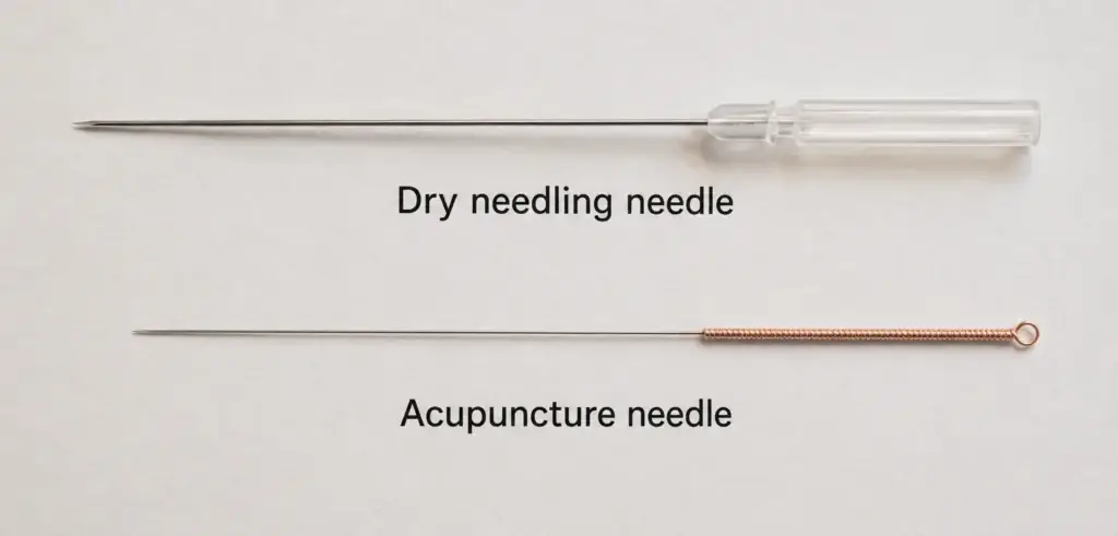 dry needling needle compared to a traditional acupuncture needle