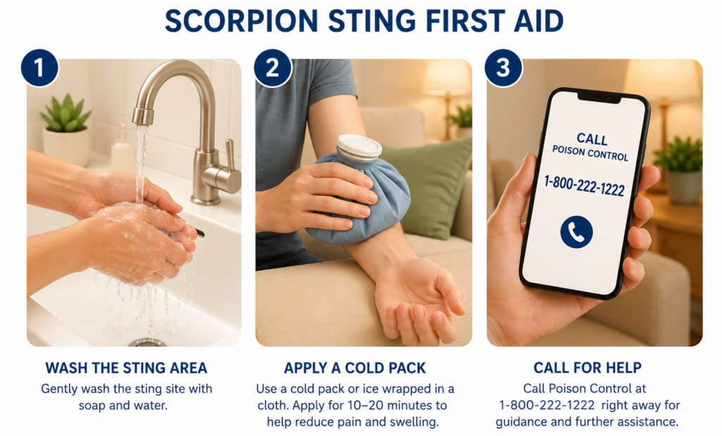 first aid steps for scorpion sting treatment including washing the site and calling poison control