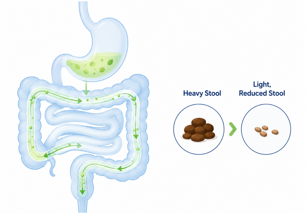 illustration showing how a low residue diet reduces stool bulk in the digestive tract