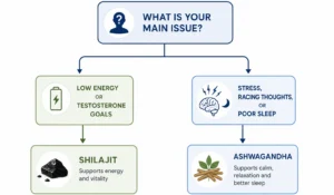 Decision flowchart for choosing shilajit or ashwagandha based on symptoms